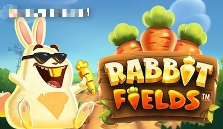 Rabbit Fields